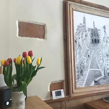 Le Du Choriste En Hyper Centre Historique * Le Puy-en-Velay